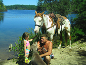 horse