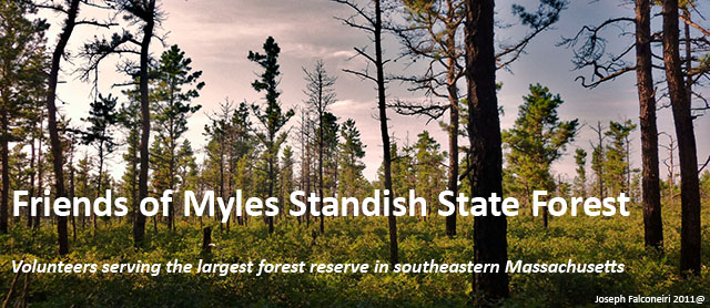 fmssfnewsletterbanner1